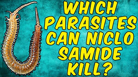 Which Parasites Can Niclosamide Kill? - (Science Based)