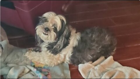 🛑 MIKE STROKEOFF (P4 NO CHAT) (YT) NEEDS 💰 FOR GAS, ALCOHOL 1-30-26