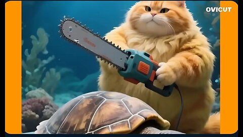 cats vs fishing 🎣 😳