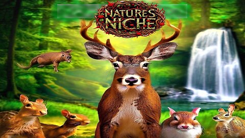 Nature's Niche Ep. 8