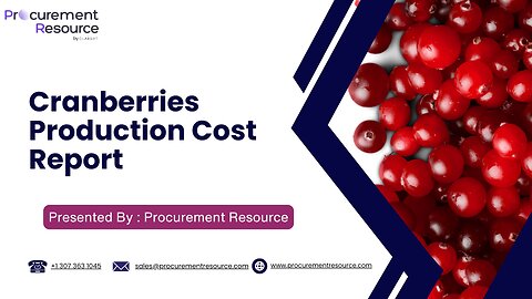 Cranberry Production Cost Analysis Report