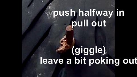 bush craft , not bushcraft, camping or nookie , (2)