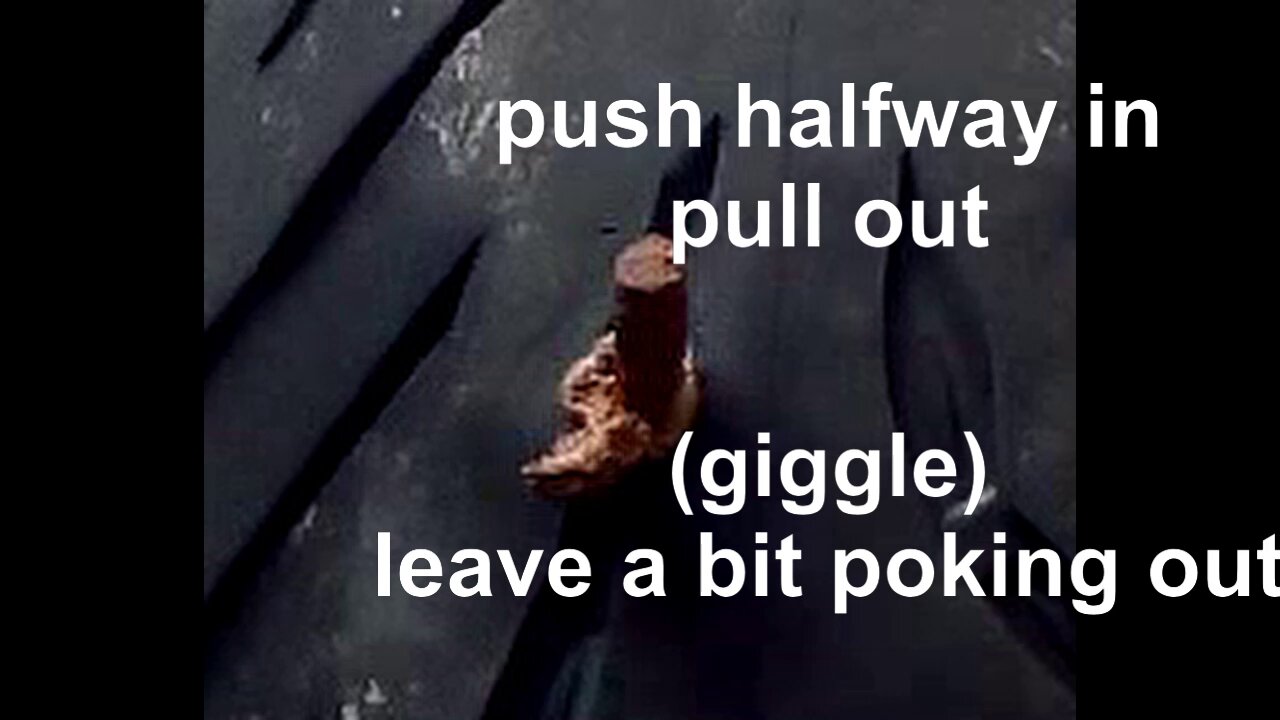 bush craft , not bushcraft, camping or nookie , (2)