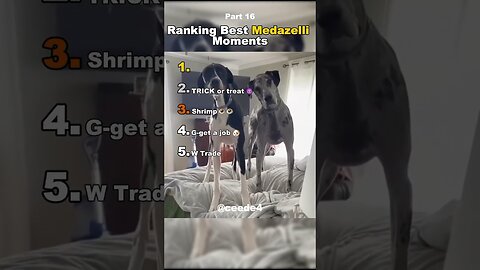 Funniest Medazelli#ranking #medazelli #tiktok