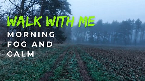 Walk with Me: Exploring Nature’s Calm in Dense Morning Fog