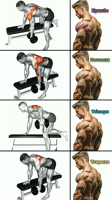 Dumbbell Variety Workout Exercises For Upper Body Strength