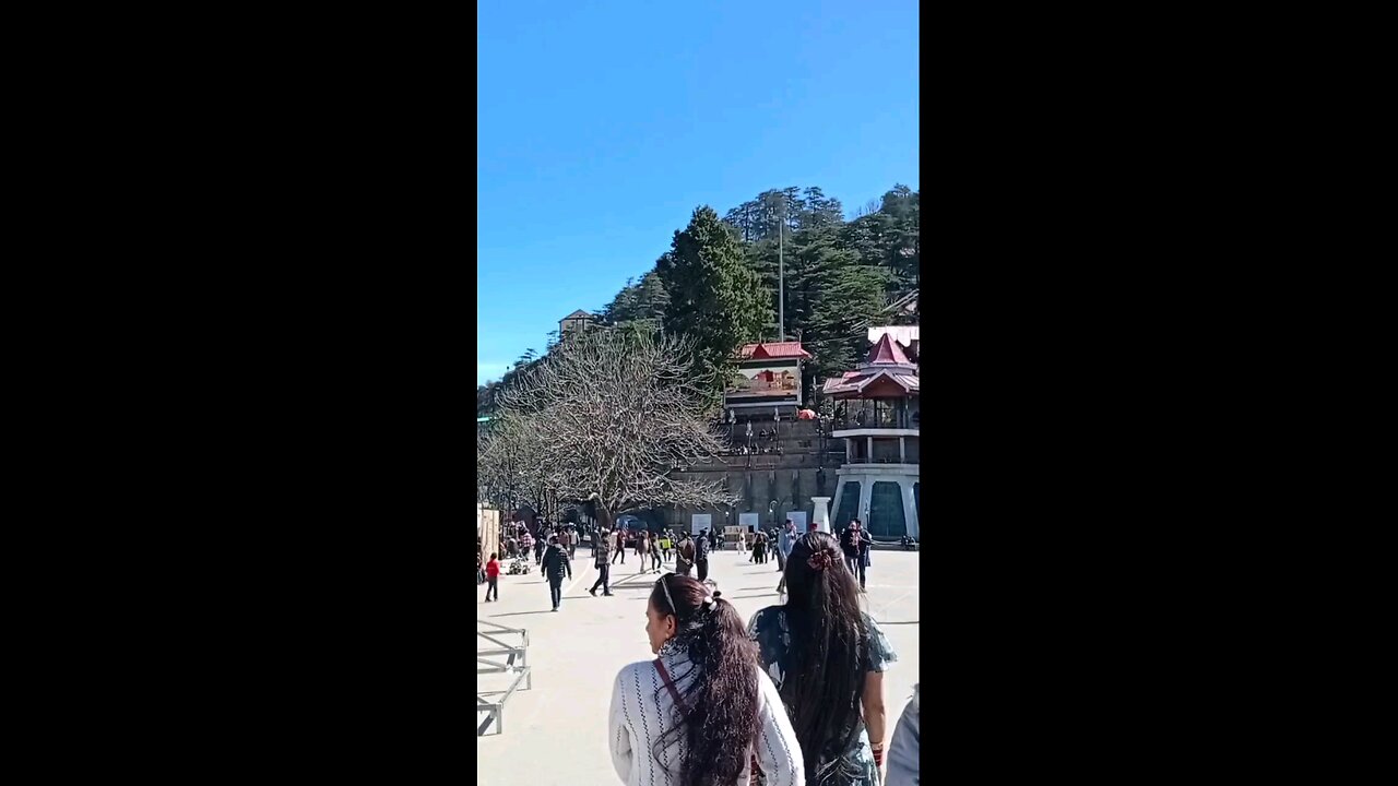 satisfying Video