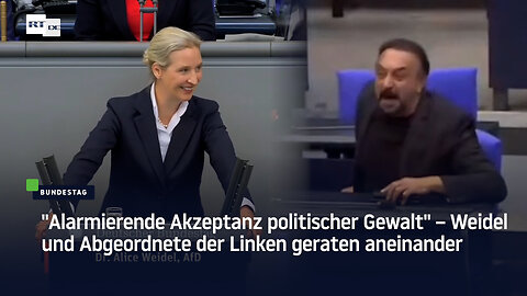 "Alarmierende Akzeptanz politischer Gewalt" – Weidel und Abgeordnete der Linken geraten aneinander