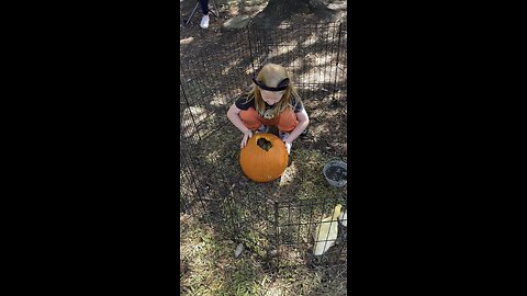 What would you call this?