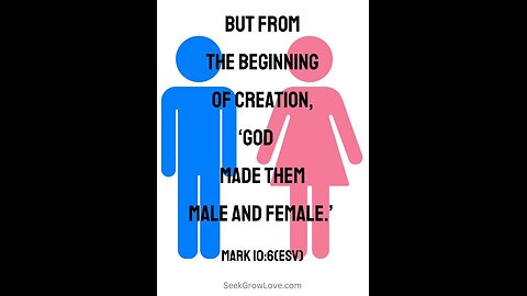 S4 Ep. 25 – Two Genders