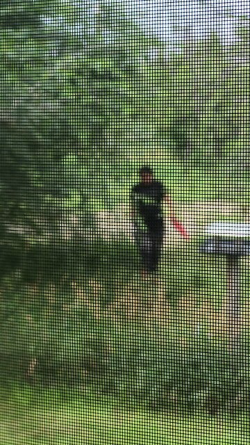 Nasty Ho Returns to Wipe