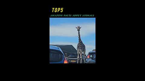 Amazing Facts About Animals | Mind Blowing Facts About Animals