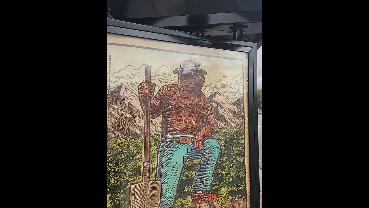 Birds 🐦🐦 are lovely 🌹