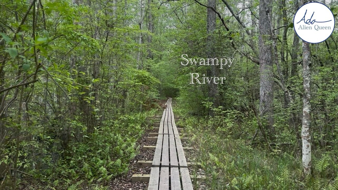 Ada Alien Queen • Ada Walks • Take # 00007 • Swampy River