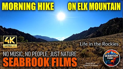 Morning Hike on Elk Mountain: Life in the Rockies