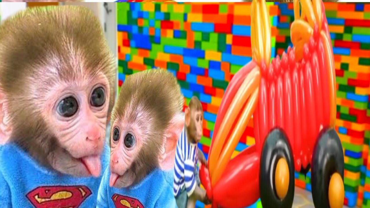 Bonmonkeykiki animalht vedio !!!.