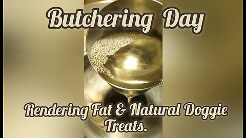 Butchering Day, Rendering Fat, Natural Doggie Treats and Delicious Homemade Cracklins...
