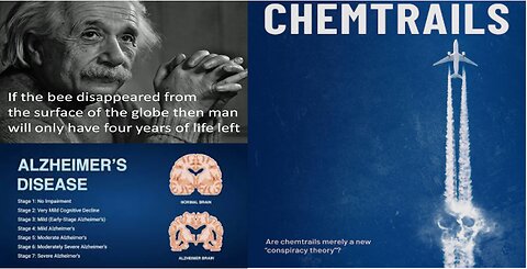 CHEM TRAILS - GEOENGINEERING - ALZHEIMERS - BYE BYE BEES