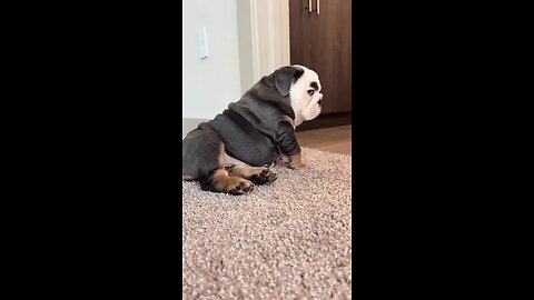 the Look 😂