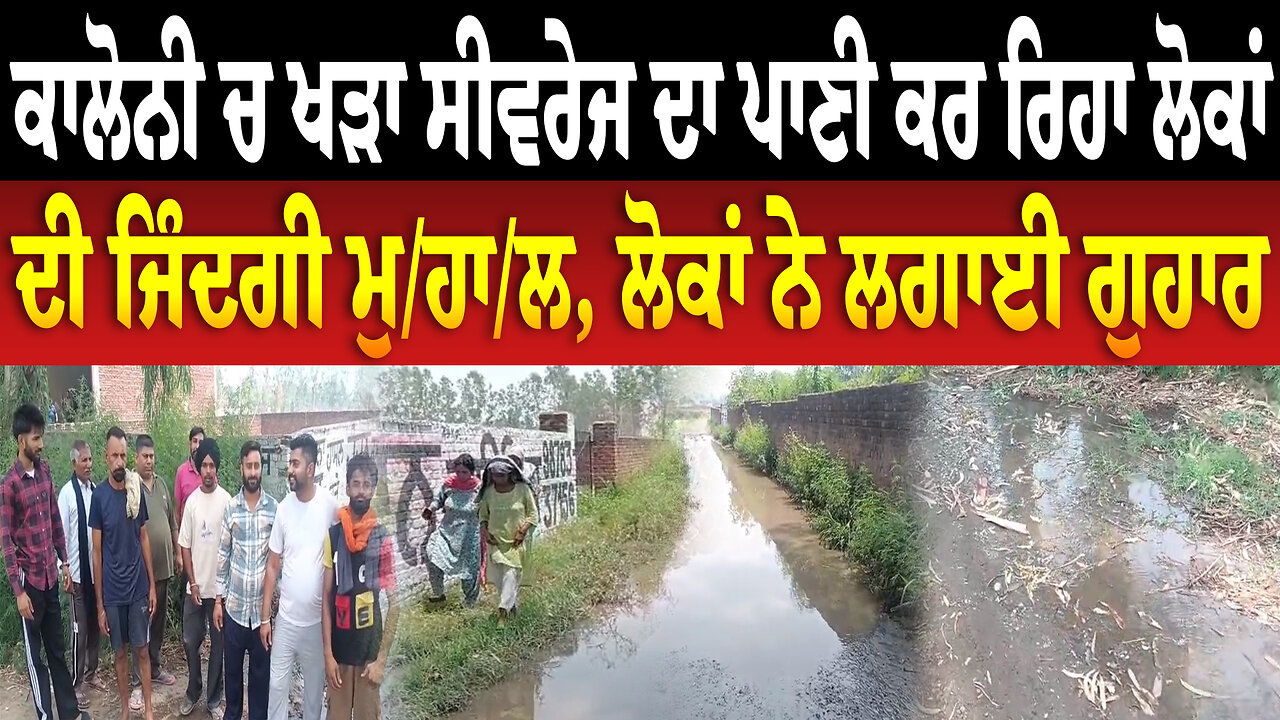 ਕਾਲੋਨੀ ਚ ਖੜਾ ਸੀਵਰੇਜ ਦਾ ਪਾਣੀ ਕਰ ਰਿਹਾ ਲੋਕਾਂ ਦੀ ਜਿੰਦਗੀ ਮੁਹਾਲ, ਲੋਕਾਂ ਨੇ ਲਗਾਈ ਗੁਹਾਰ