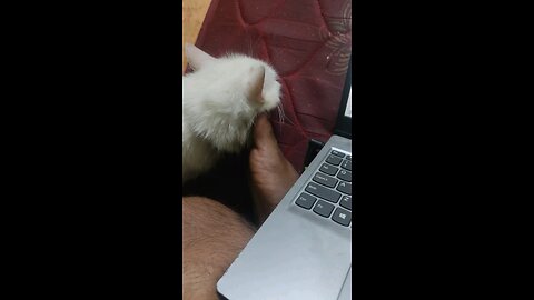 Stuck To My Toes