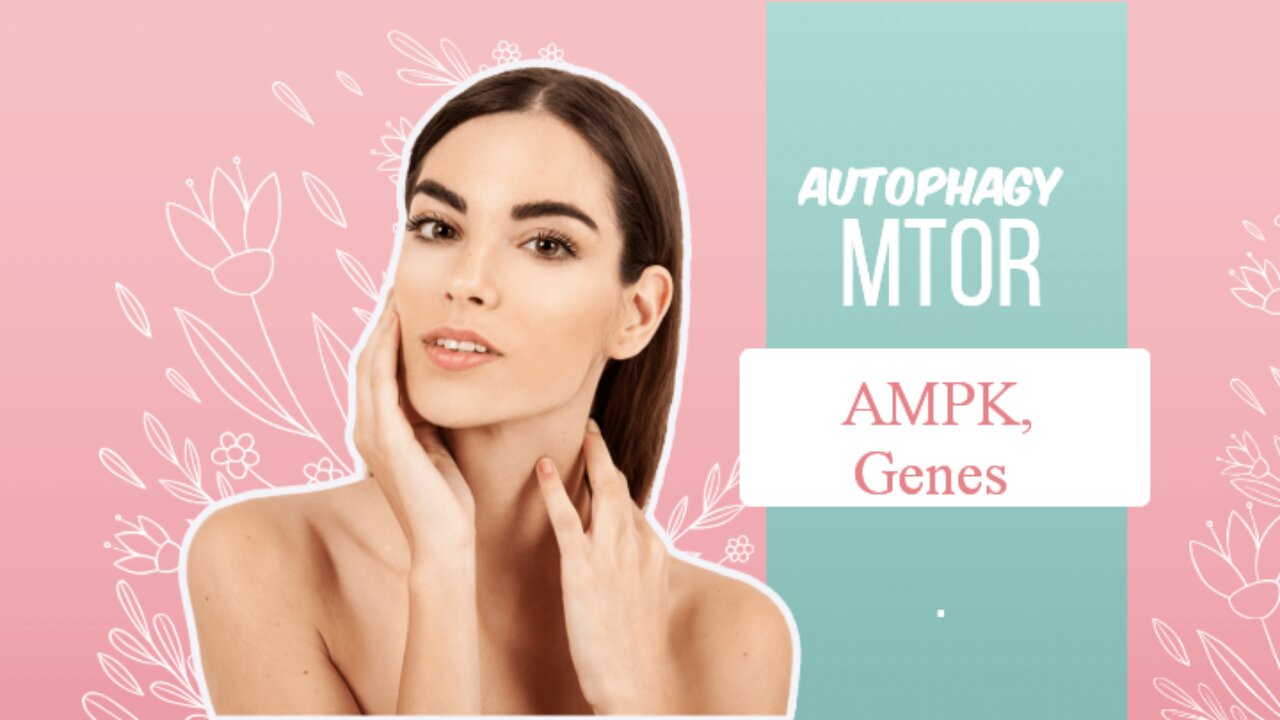 autophagy, MTOR, AMPK Insights