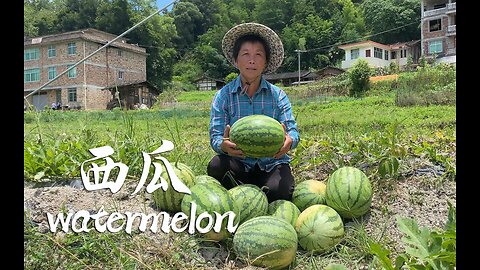 Watermelon Season - How to create delicacy with it with Grandma