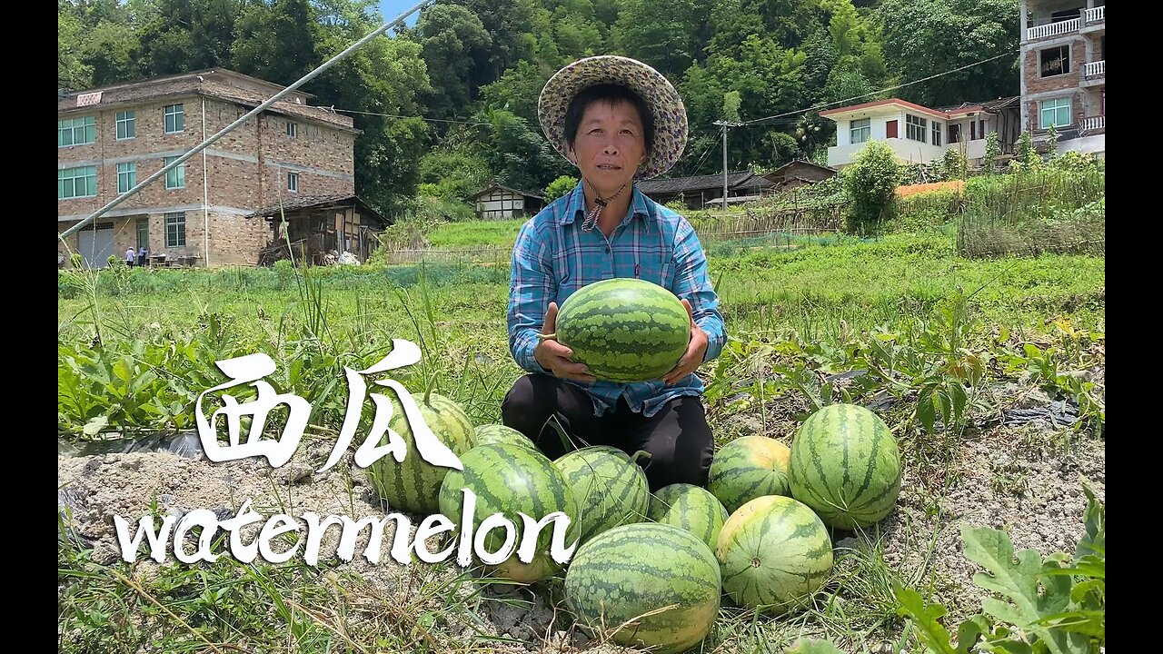 Watermelon Season - How to create delicacy with it with Grandma
