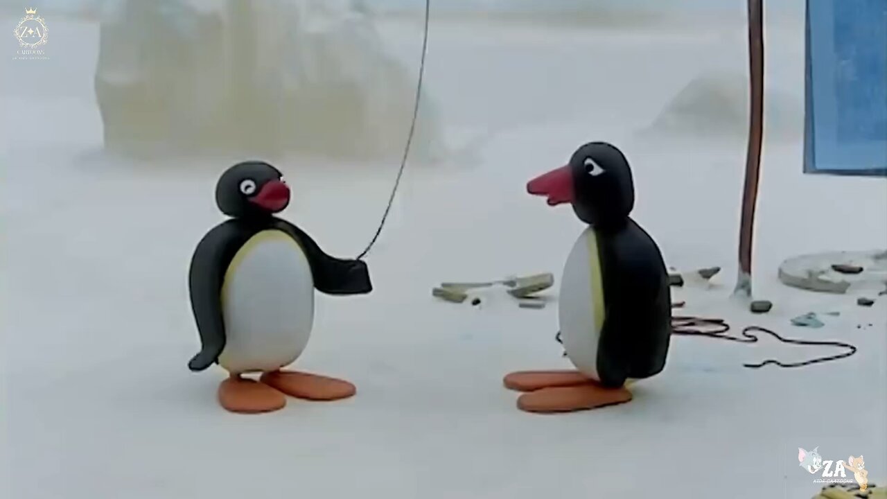 Pingu Cartoons