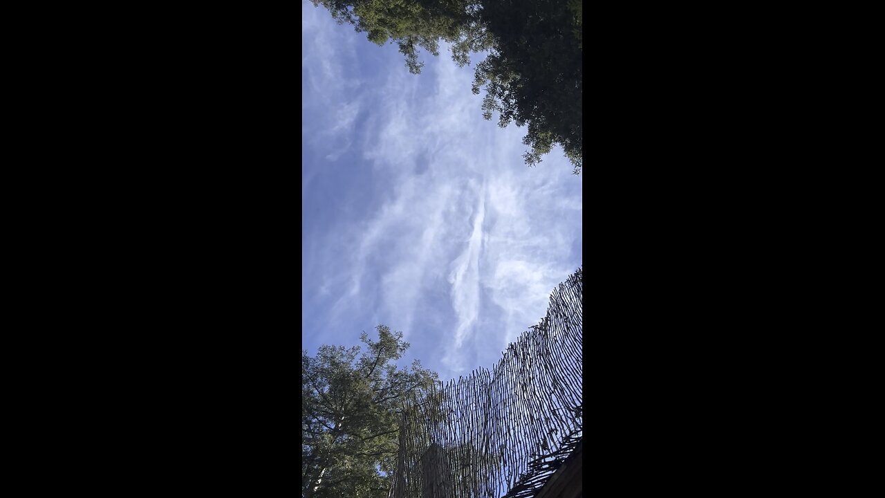What do you see