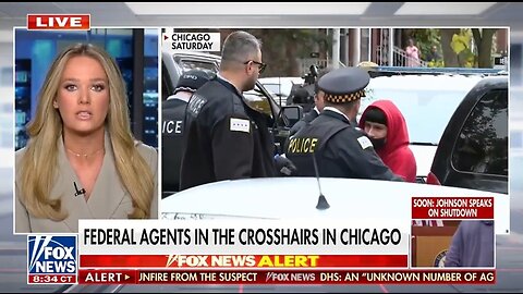 DHS Assistant Sec: Dems Have Decided Violence Against Law Enforcement Is OK