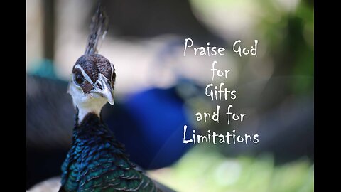 Praise Ye The Lord!