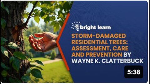 BrightLearn - Storm-Damaged Residential Trees: Assessment, Care and Prevention by Wayne K. Clatterbuck