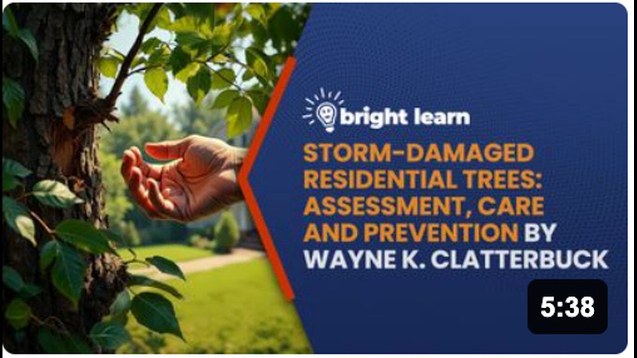BrightLearn - Storm-Damaged Residential Trees: Assessment, Care and Prevention by Wayne K. Clatterbuck