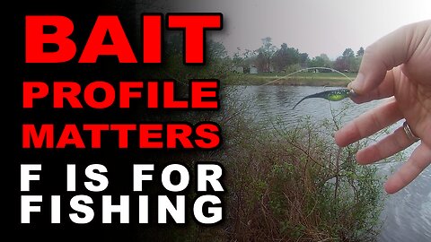 Bait Profile Matters