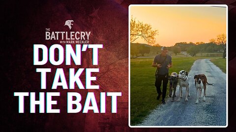 Don't Take the Bait | The BattleCry