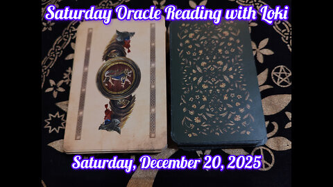 Saturday Oracle Reading with Loki: December 20, 2025