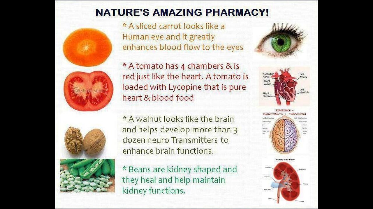 Amazing Wellness Company Team Nutra Fat Loss, Detox & Super Food Products Price Drop