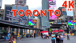 Toronto: A Love Letter