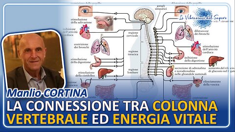 La connessione tra colonna vertebrale ed energia vitale - Manlio Cortina