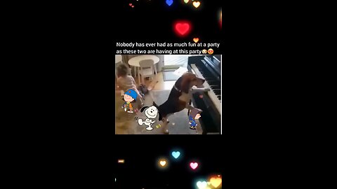 Dog & Cat Compilation