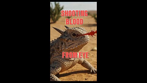 Crazy Animal Facts