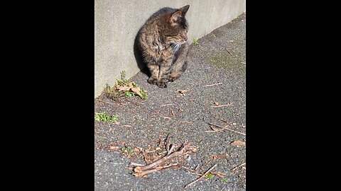 Meeting Baby Girl after at least 8 months.