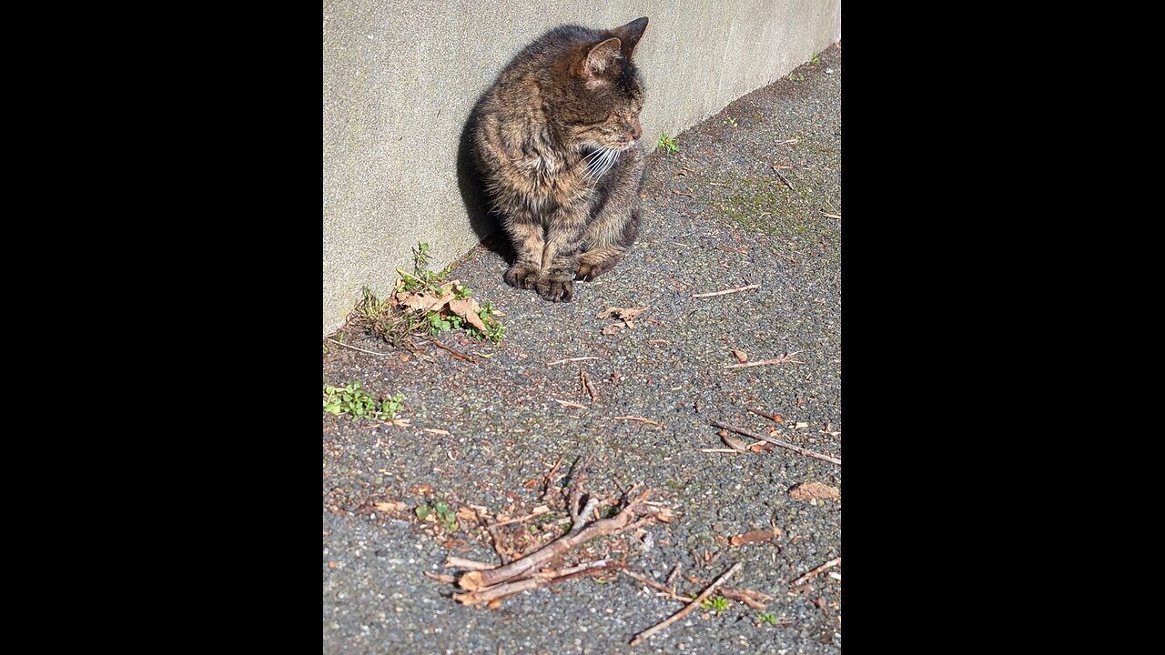 Meeting Baby Girl after at least 8 months.