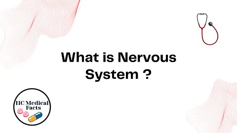 What is Nervous System ?