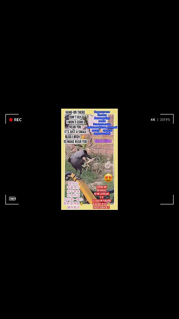 Join me on this nature adventure as we explore the beauty of wildlife in action. #Viral #Trending