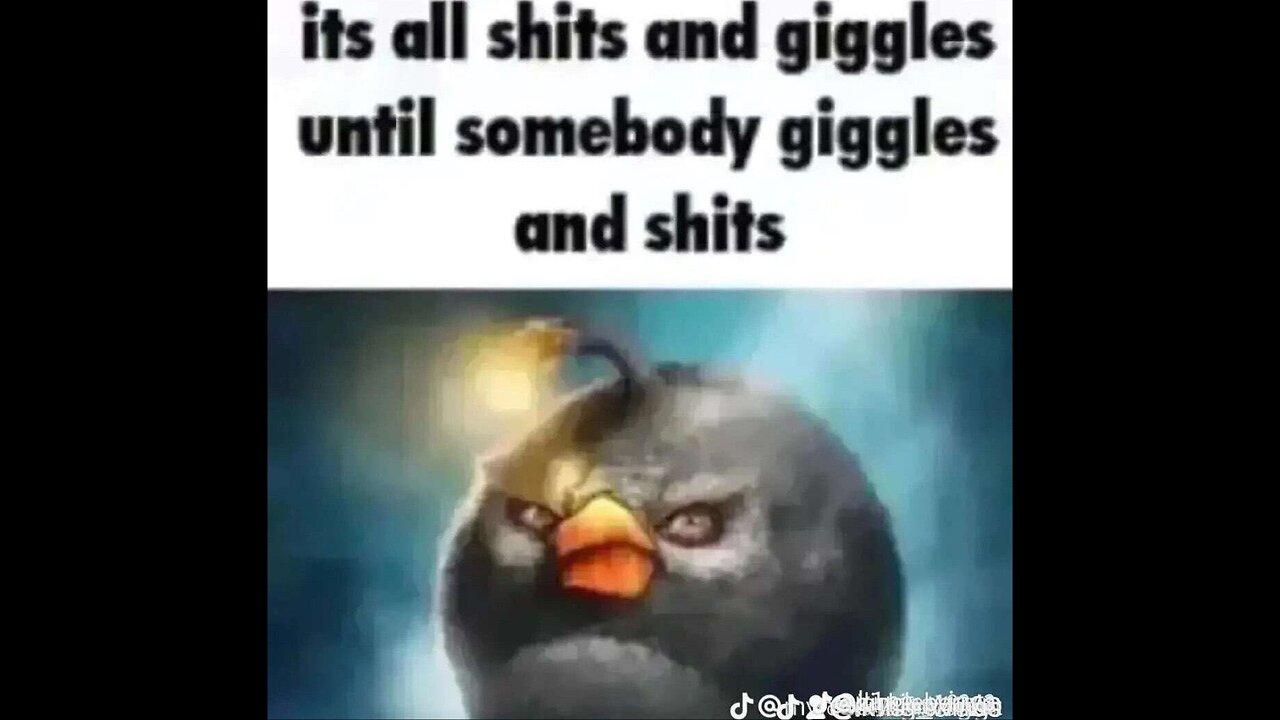 Dank Offensive Memes Compilation #208