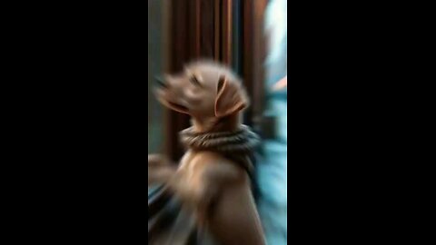 satisfying Video