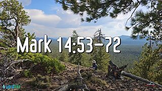 Mark 14:53-72, Bible Reading in Nature, BSB