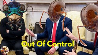 Poor Control For Unstoppable Fire Ants
